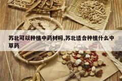 <b>�ձ�������ֲ��ҩ����,�ձ��ʺ���ֲʲô�в�ҩ</b>