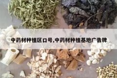 <b>��ҩ����ֲ���ں�,��ҩ����ֲ���ع����</b>
