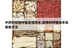 <b>��ҩ�Ľ۹���ֲ��������,�۹�����ֲ���������շ���</b>