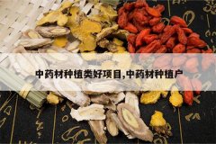 <b>��ҩ����ֲ�����Ŀ,��ҩ����ֲ��</b>