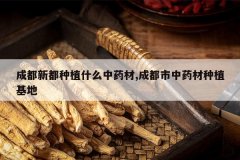 <b>�ɶ��¶���ֲʲô��ҩ��,�ɶ�����ҩ����ֲ����</b>