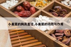 <b>С���˵��ظ�ֱ��,С���˵Ĺ�Ч������</b>