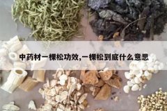 <b>��ҩ��һ���ɹ�Ч,һ���ɵ���ʲô��˼</b>