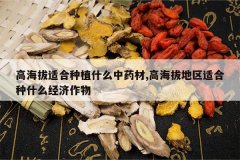 <b>�ߺ����ʺ���ֲʲô��ҩ��,�ߺ��ε����ʺ���ʲô��������</b>