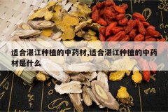 <b>�ʺ�տ����ֲ����ҩ��,�ʺ�տ����ֲ����ҩ����ʲô</b>