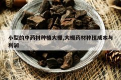 <b>С�͵���ҩ����ֲ����,����ҩ����ֲ�ɱ�������</b>