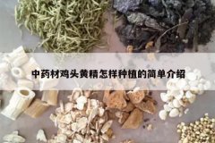 <b>��ҩ�ļ�ͷ�ƾ�������ֲ�ļ򵥽���</b>