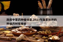 <b>�����в�ҩ��ֲ��Ŀ,2023����ҷ��ֵ���ֲҩ������Щ</b>