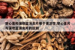 <b>���������ѵ�������Ƭ�ĸ�������,������Ƭ���ѵ�������Ƭ������</b>