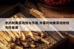 <b>��ҩ�Ļ��ι�Ч������,�в�ҩ�Ļ��ι�ЧЧ��������</b>