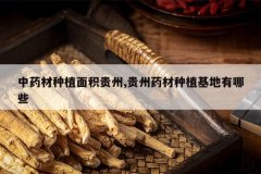 <b>��ҩ����ֲ�������,����ҩ����ֲ��������Щ</b>