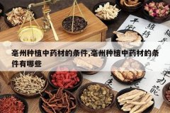 <b>������ֲ��ҩ�ĵ�����,������ֲ��ҩ�ĵ���������Щ</b>