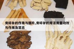 <b>���鲹��������ͼƬ,���鲹���÷�������Ч�����ü�����</b>