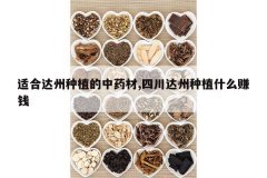 <b>�ʺϴ�����ֲ����ҩ��,�Ĵ�������ֲʲô׬Ǯ</b>