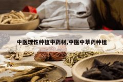 <b>��ҽ������ֲ��ҩ��,��ҽ�в�ҩ��ֲ</b>