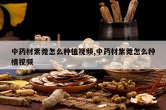 <b>��ҩ��������ô��ֲ��Ƶ,��ҩ��������ô��ֲ��Ƶ</b>