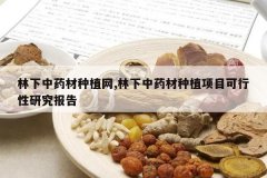 <b>������ҩ����ֲ��,������ҩ����ֲ��Ŀ�������о�����</b>