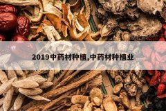 <b>2019��ҩ����ֲ,��ҩ����ֲҵ</b>