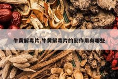 <b>ţ�ƽⶾƬ,ţ�ƽⶾƬ�ĸ���������Щ</b>