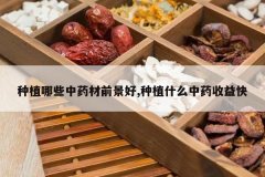 <b>��ֲ��Щ��ҩ��ǰ����,��ֲʲô��ҩ�����</b>