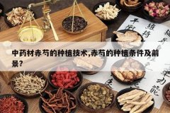 <b>��ҩ�ĳ��ֵ���ֲ����,���ֵ���ֲ������ǰ��?</b>