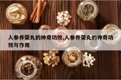 <b>�˲�����������湦Ч,�˲�����������湦Ч������</b>