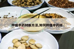 <b>��ֲ��ҩ���·���,�����ֲ��ҩ��</b>