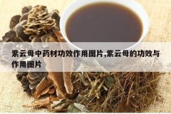 <b>����ĸ��ҩ�Ĺ�Ч����ͼƬ,����ĸ�Ĺ�Ч������ͼƬ</b>