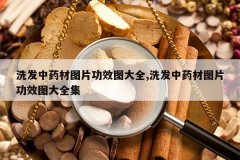 <b>ϴ����ҩ��ͼƬ��Чͼ��ȫ,ϴ����ҩ��ͼƬ��Чͼ��ȫ��</b>