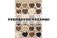 <b>��������ֲ����ҩ��,�����ʺ���ֲ��</b>