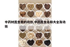 <b>��ҩ��������Ĺ�Ч,��ҩ�������ƴ�ȫ����Ч</b>