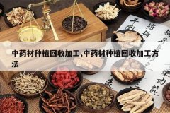 <b>��ҩ����ֲ���ռӹ�,��ҩ����ֲ���ռӹ�����</b>