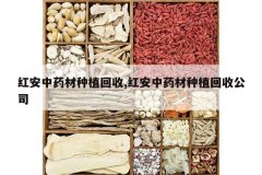 <b>�찲��ҩ����ֲ����,�찲��ҩ����ֲ���չ�˾</b>