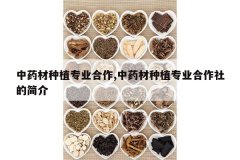 <b>��ҩ����ֲרҵ����,��ҩ����ֲרҵ������ļ��</b>