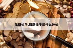 <b>�������,���������ʲô����</b>
