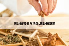 <b>��ɳ��Ӫ���빦Ч,��ɳ�ڲ�ҩ</b>