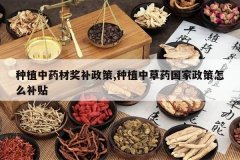 <b>��ֲ��ҩ�Ľ�������,��ֲ�в�ҩ����������ô����</b>