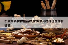 <b>������ҩ����ֲƷ��,������ҩ����ֲƷ������Щ</b>