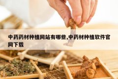 <b>��ҩҩ����ֲ��վ����Щ,��ҩ����ֲ������������</b>