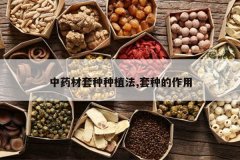 <b>��ҩ��������ֲ��,���ֵ�����</b>