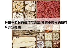 <b>��ֲ��ҩ�ĵļ����뷽��,��ֲ��ҩ�ĵļ����뷽����Ƶ</b>