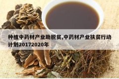 <b>��ֲ��ҩ�Ĳ�ҵ����ƶ,��ҩ�Ĳ�ҵ��ƶ�ж��ƻ�20172020��</b>