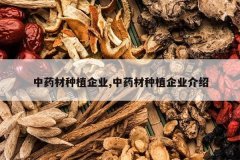 <b>��ҩ����ֲ��ҵ,��ҩ����ֲ��ҵ����</b>