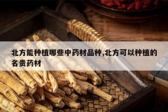 <b>��������ֲ��Щ��ҩ��Ʒ��,����������ֲ������ҩ��</b>
