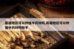 <b>�½�����������ֲ��ҩ����,�½�����������ֲ��ҩ����֪��</b>