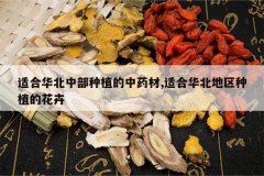 <b>�ʺϻ����в���ֲ����ҩ��,�ʺϻ���������ֲ�Ļ���</b>