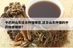 <b>��ҩ��ɽ���ʺ���ֲ��Щ,�ʺ�ɽ����ֲ����ҩ������Щ?</b>