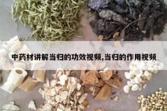 <b>��ҩ�Ľ��⵱��Ĺ�Ч��Ƶ,�����������Ƶ</b>