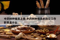 <b>��ҩ����ֲԱ�ϼ�,��ҩ����ֲԱ�ĸ�λ����ְ����ʲô</b>