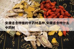 <b>�����ʺ���ֲ����ҩ��Ʒ��,�����ʺ���ʲô��ҩ��</b>